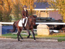 IMG_8120_web